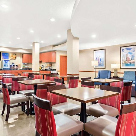 Comfort Suites Tampa Airport North Extérieur photo