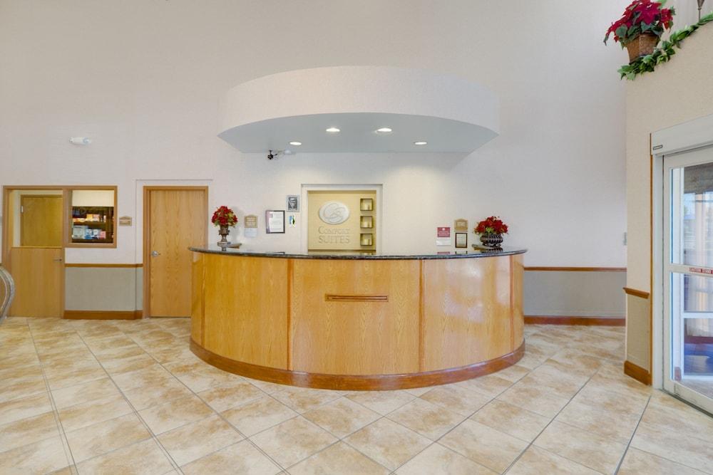 Comfort Suites Tampa Airport North Extérieur photo