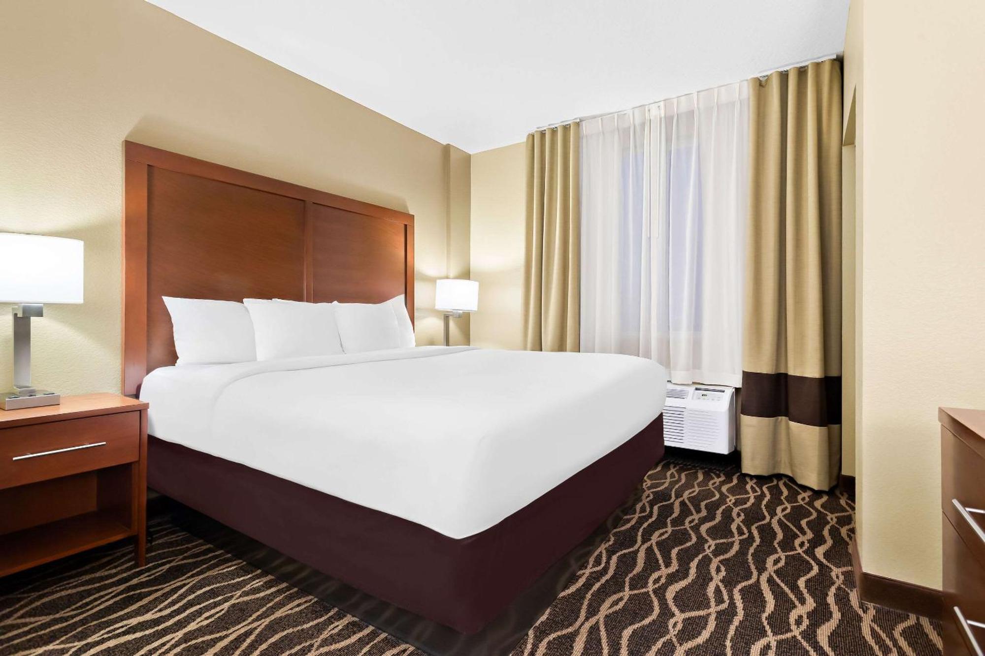 Comfort Suites Tampa Airport North Extérieur photo