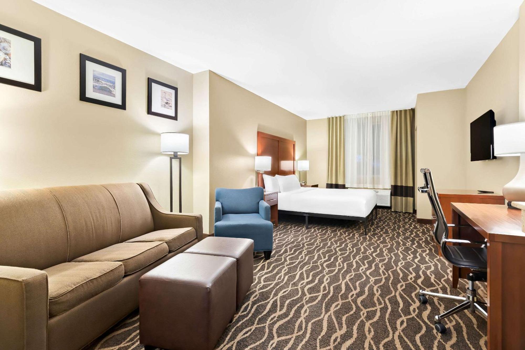 Comfort Suites Tampa Airport North Extérieur photo