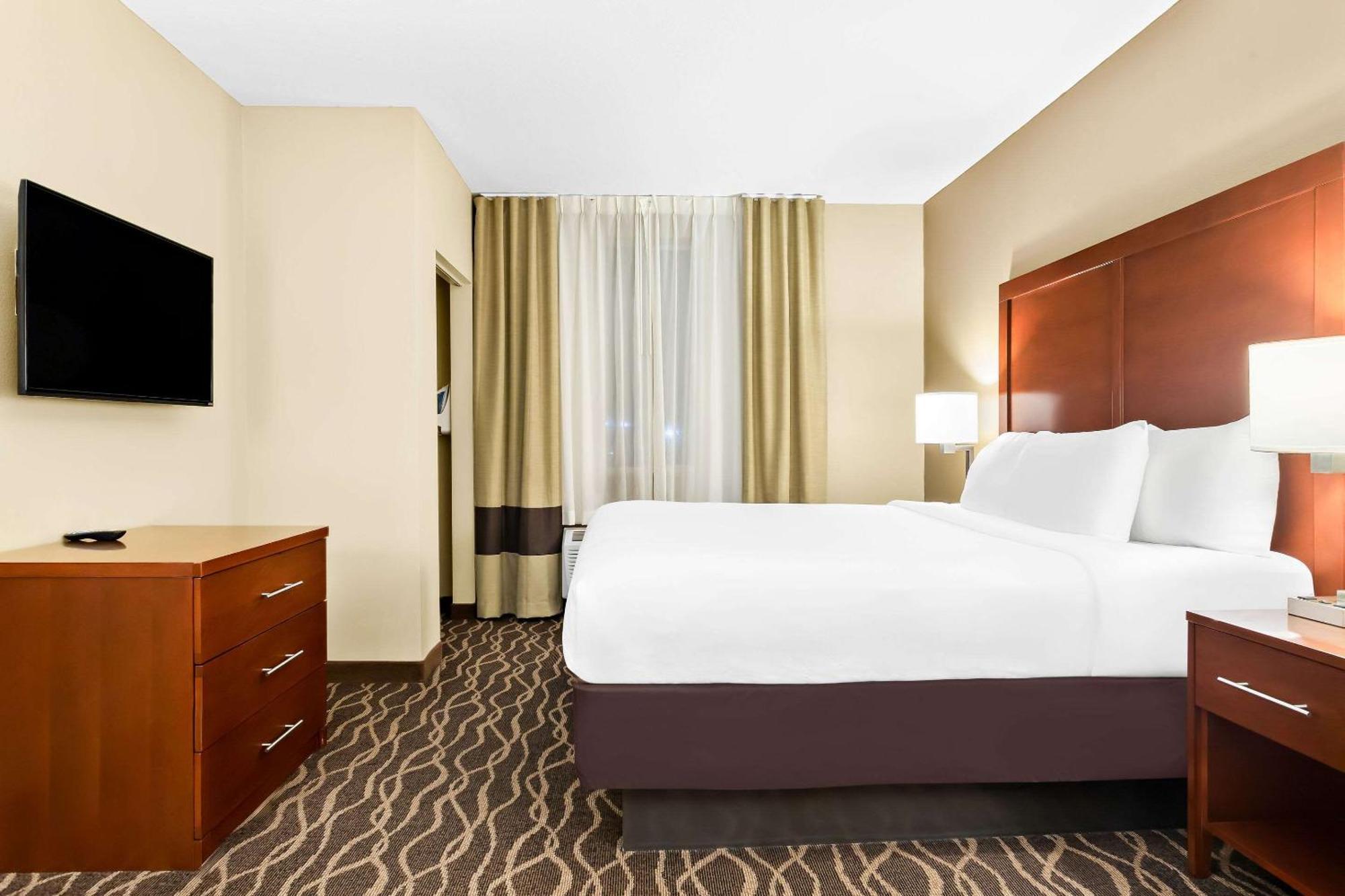 Comfort Suites Tampa Airport North Extérieur photo