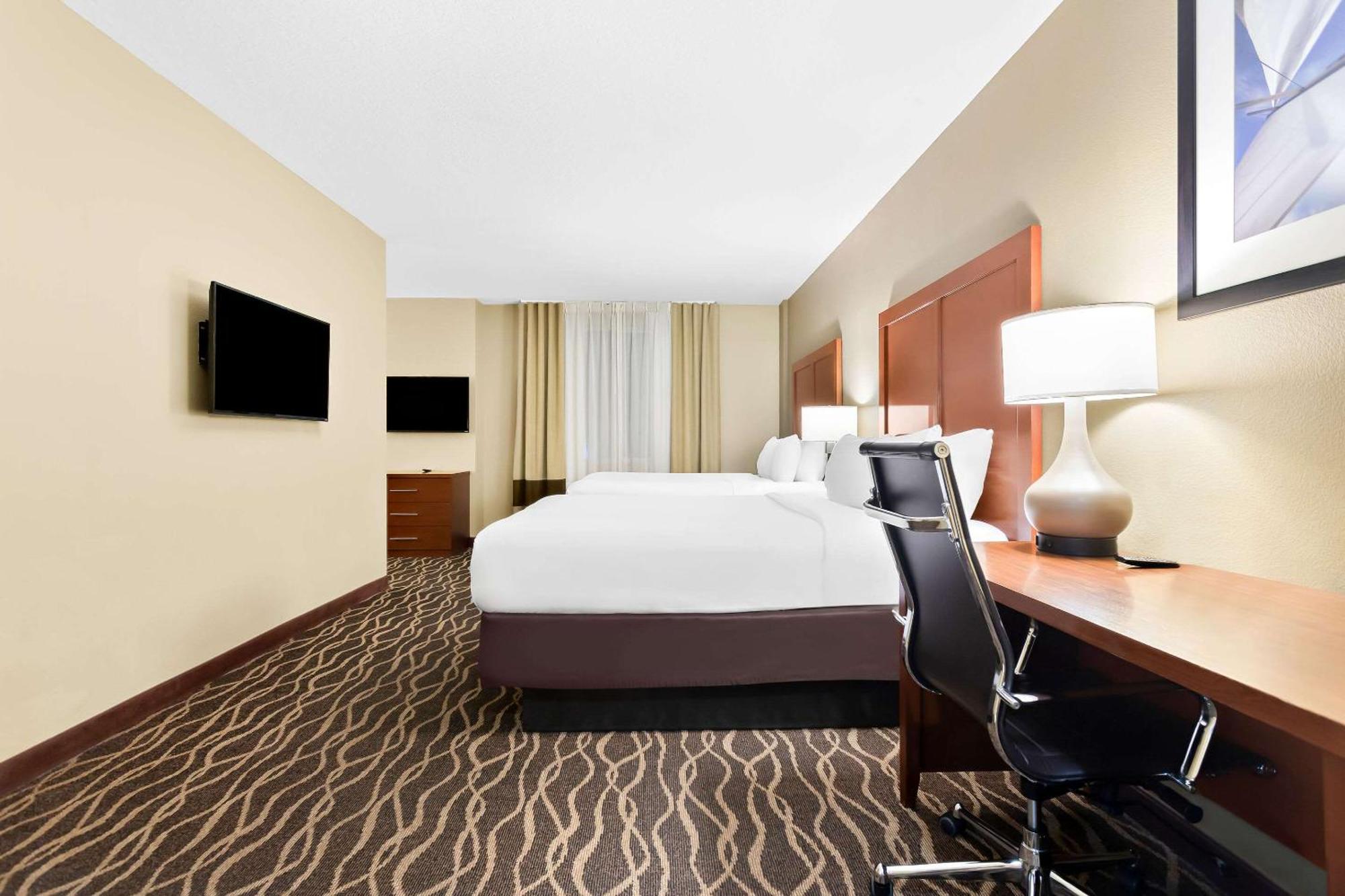 Comfort Suites Tampa Airport North Extérieur photo