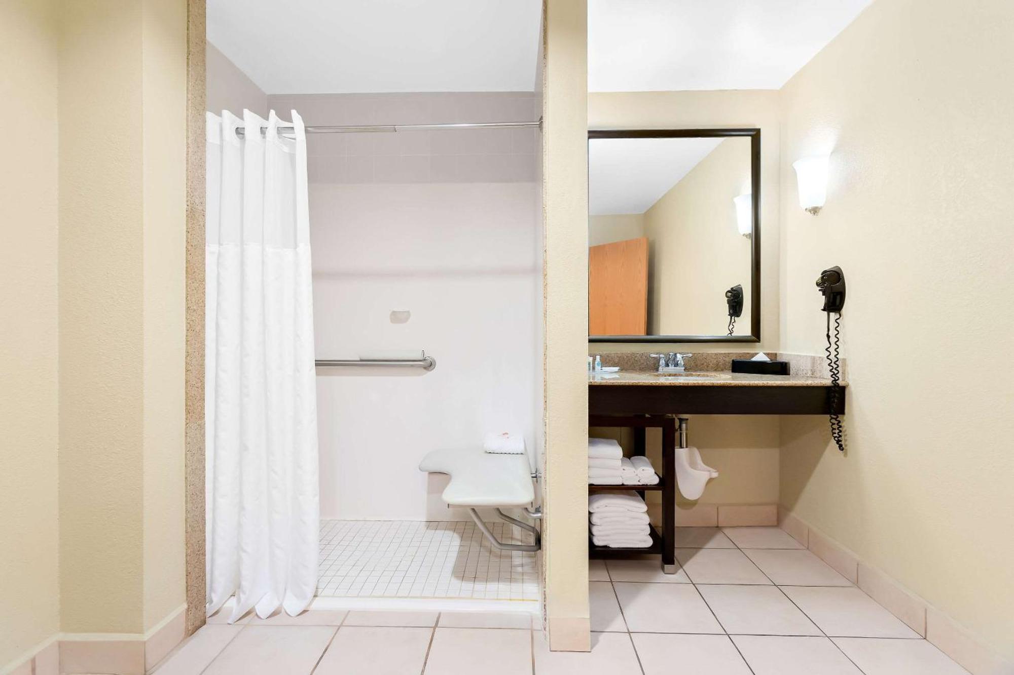 Comfort Suites Tampa Airport North Extérieur photo