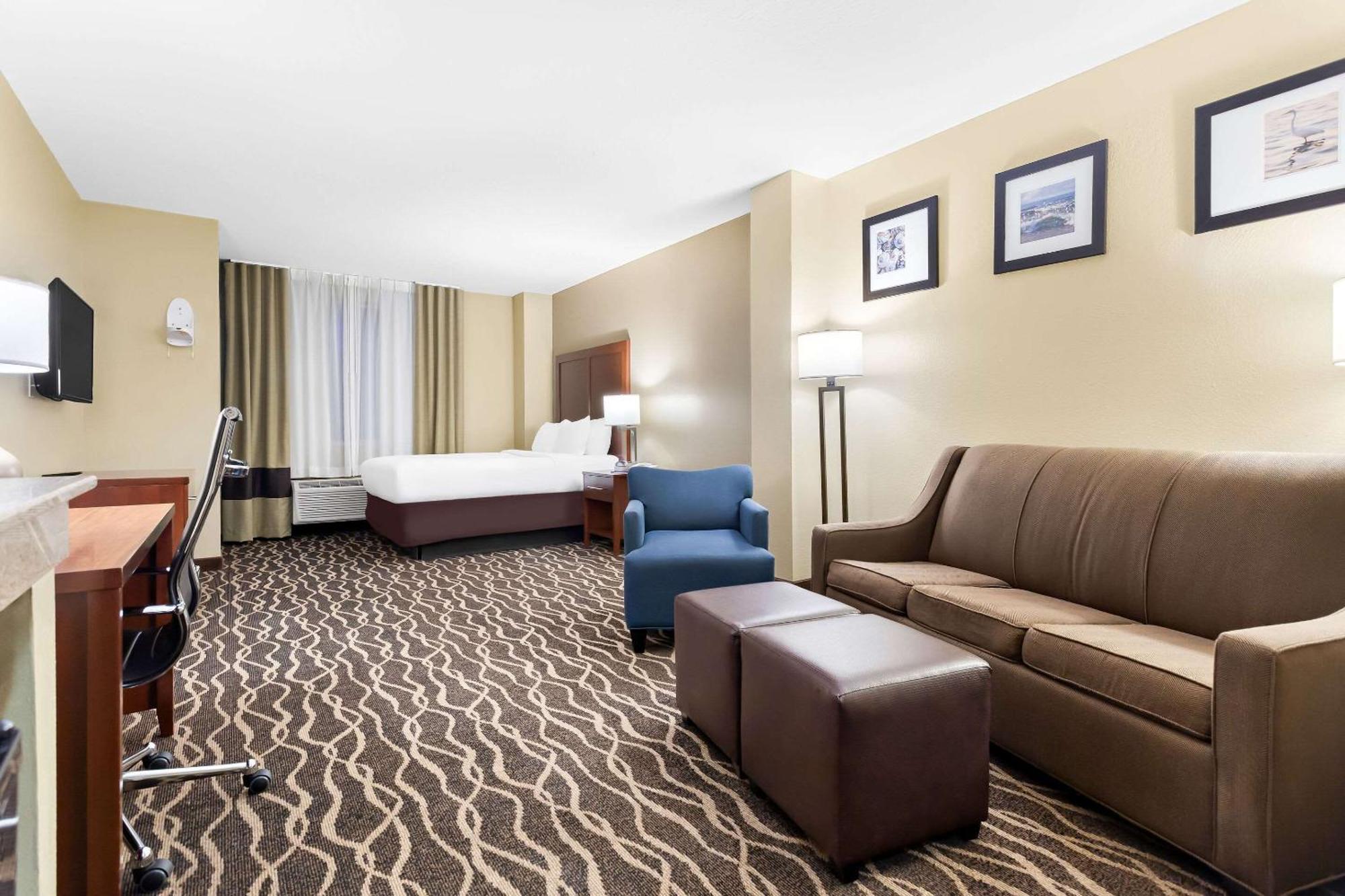 Comfort Suites Tampa Airport North Extérieur photo