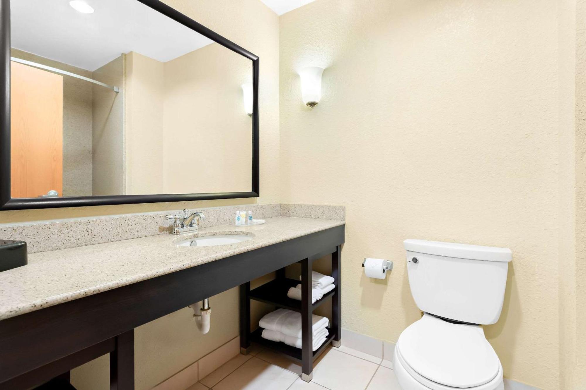 Comfort Suites Tampa Airport North Extérieur photo