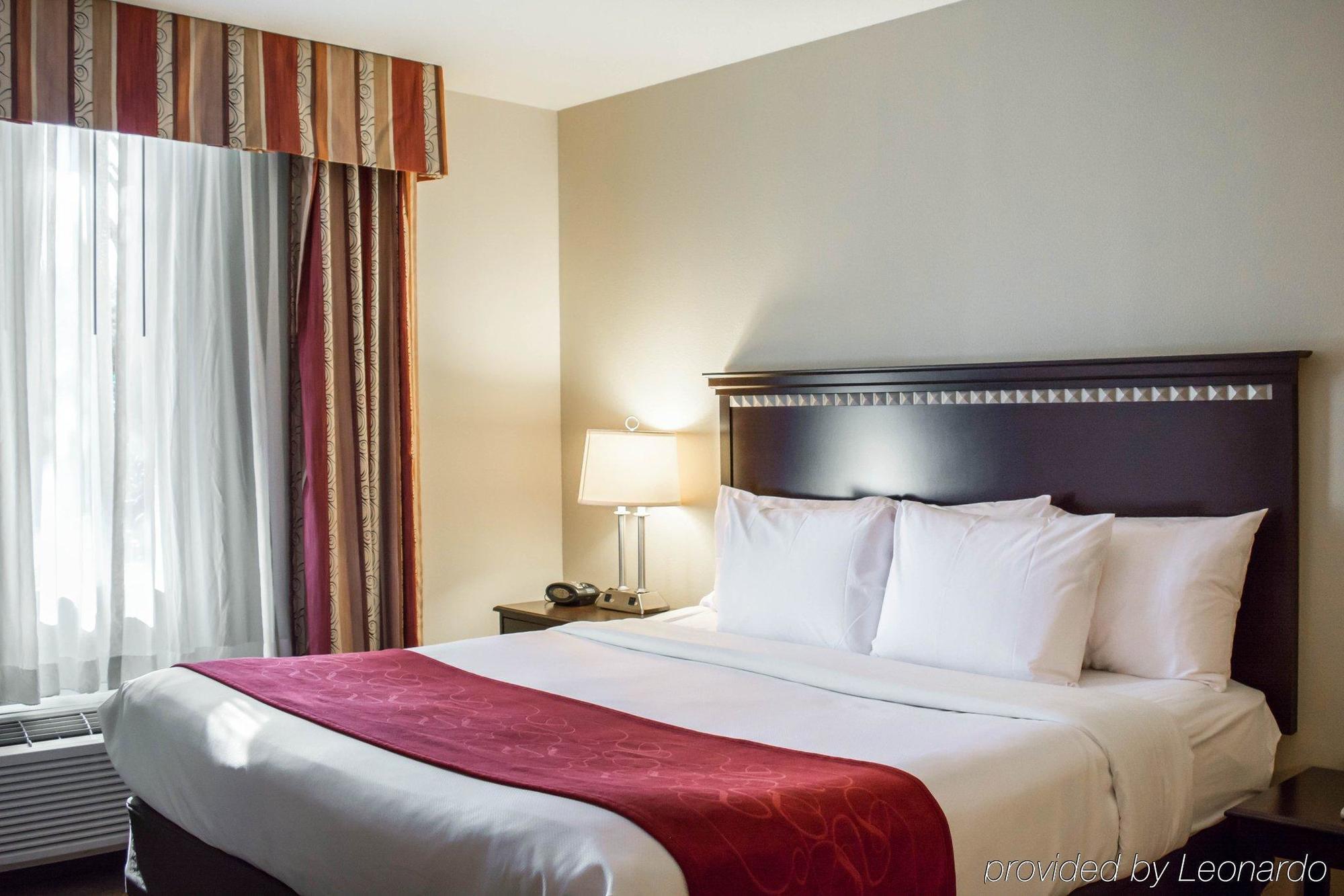 Comfort Suites Tampa Airport North Extérieur photo