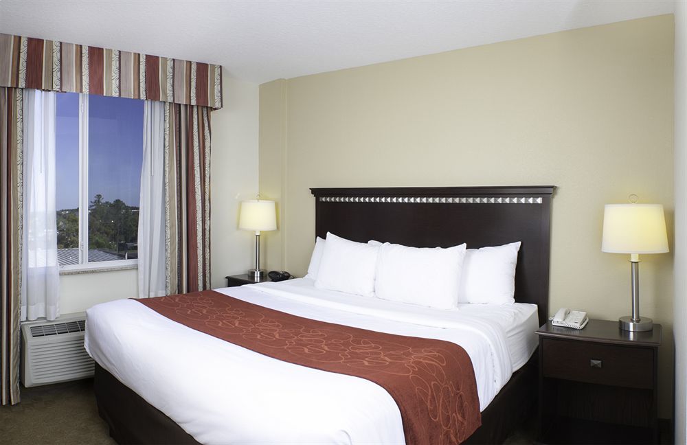 Comfort Suites Tampa Airport North Extérieur photo