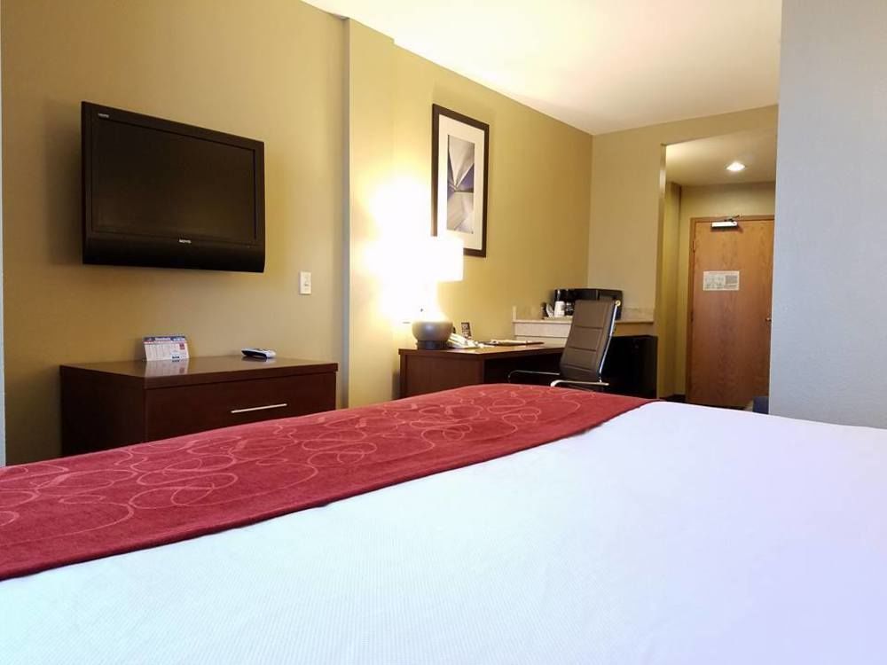 Comfort Suites Tampa Airport North Extérieur photo