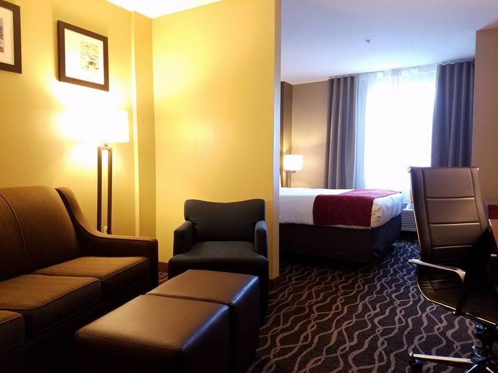 Comfort Suites Tampa Airport North Extérieur photo