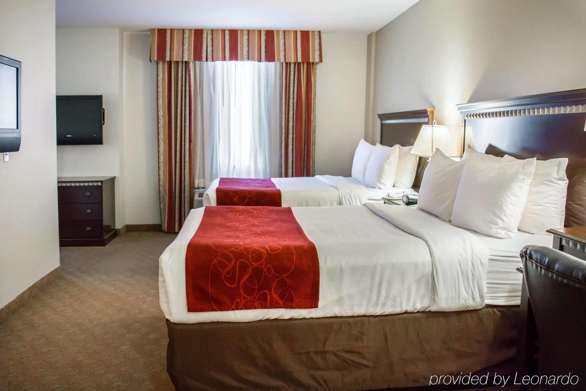 Comfort Suites Tampa Airport North Extérieur photo