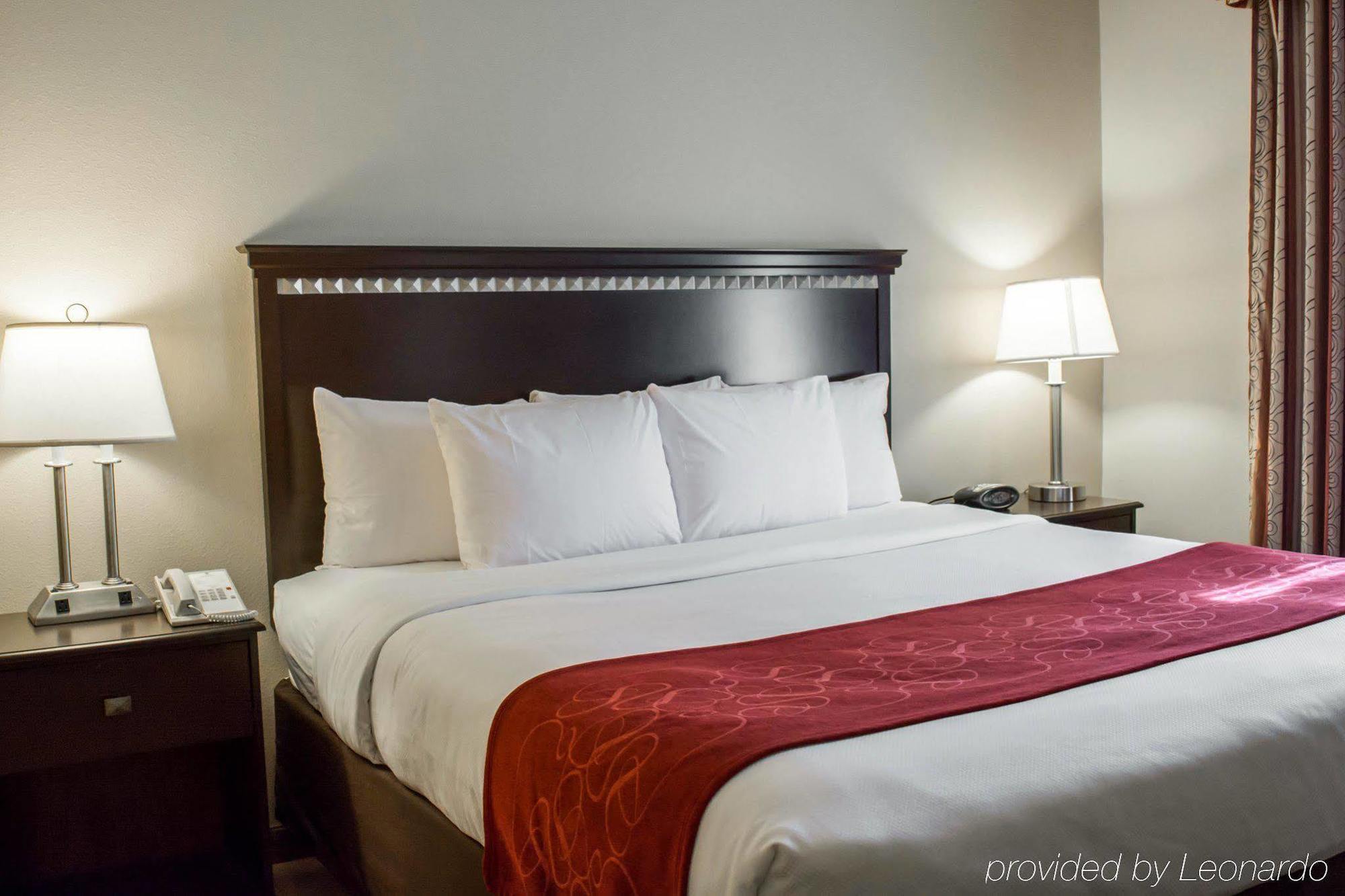 Comfort Suites Tampa Airport North Extérieur photo